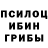 Галлюциногенные грибы Psilocybe Mia Ah1