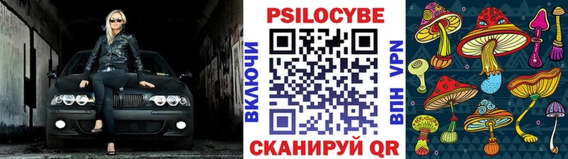 Псилоцибиновые грибы прущие грибы  хочу   Александровск-Сахалинский 