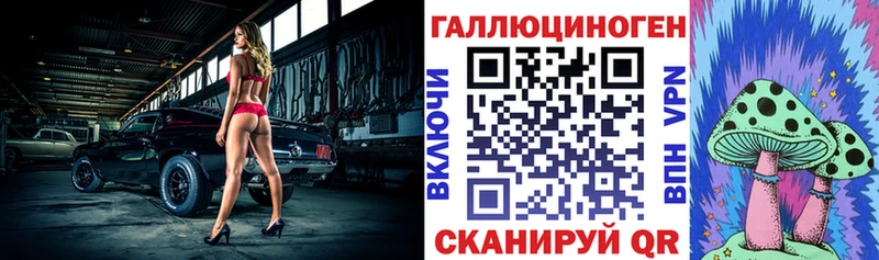 Псилоцибиновые грибы Psilocybine cubensis Александровск-Сахалинский